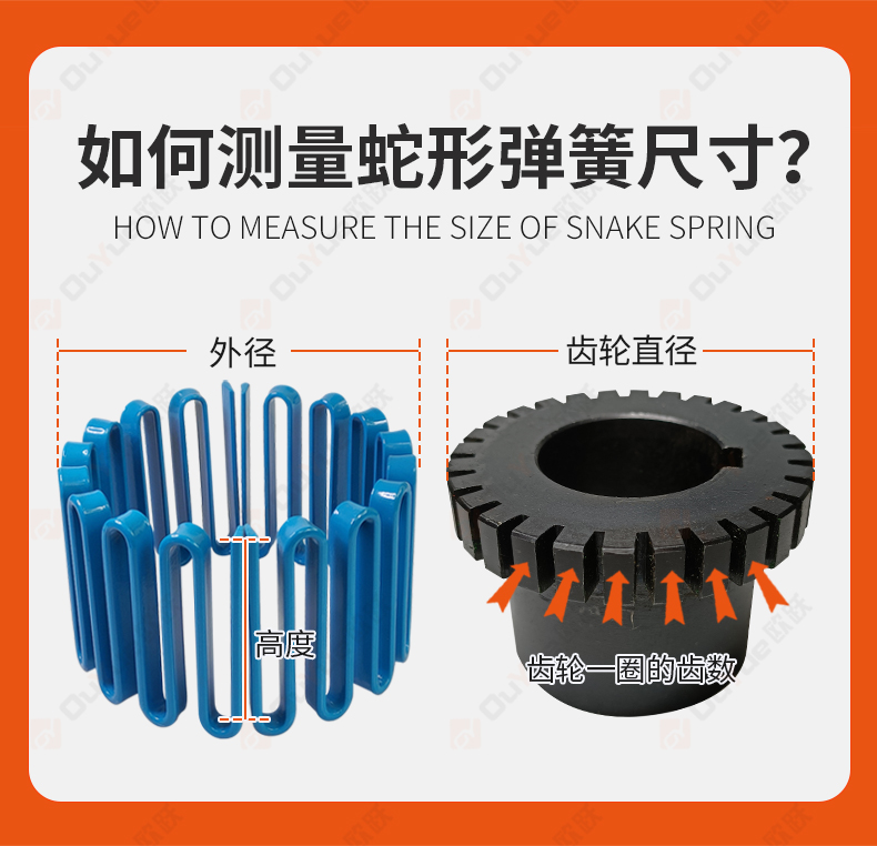 蛇形弹簧联轴器 类型、国标及应用品牌解析